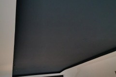 IMG_20201118_165516_03
