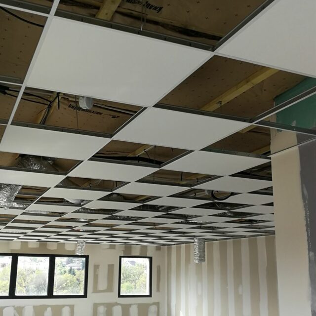 Faux plafond dans les Vosges